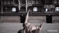 Crazy graceful