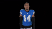Amon-Ra Grit GIF by Detroit Lions