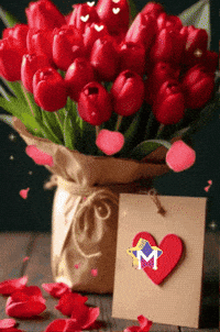 Lo Mejor Amigos GIF by Murcianys LLC