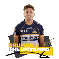 Super Rugby Act Sticker by BrumbiesRugby