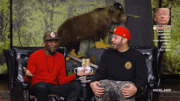 funny GIF by Desus & Mero