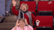 hockey dancing GIF by Carolina Hurricanes