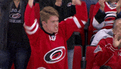 excited hockey GIF by Carolina Hurricanes