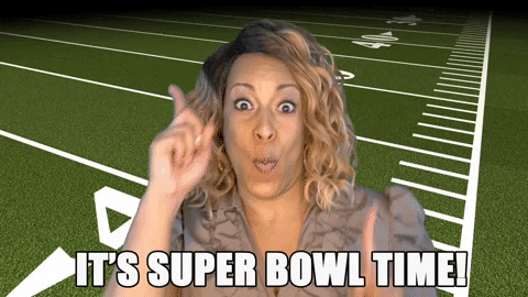 Go 49Ers Super Bowl GIF by Holly Logan
