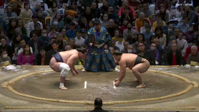 TZ85 giphyupload GIF