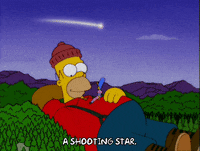 homer simpson episode 21 GIF