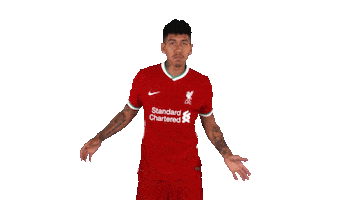 Premier League Football Sticker by Liverpool FC