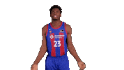 Liga Endesa Sport Sticker by ACB