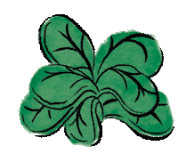 Spinach Sticker by Bareburger