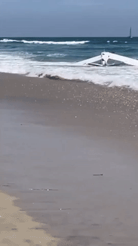 Small Plane Crashes Into Water Off Huntington Beach