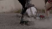 xambassadors jungle x ambassadors GIF
