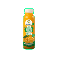 mybrazilfactory yummy healthy brasil fresh Sticker