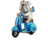 Car Go Sticker by Seorang Zaki