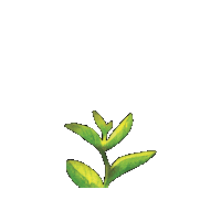 Plant Lifeway Vbs Sticker by Olivia Waugh