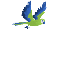 Fly Like A Bird Adventure Sticker by Airtime Paragliding