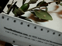 Education Biology GIF by DIIMSA Stock