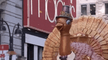 Macys Parade GIF by The 96th Macy’s Thanksgiving Day Parade
