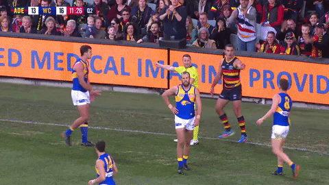 round 15 afl GIF by Adelaide Crows