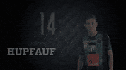 fc wacker innsbruck lukas hupfauf GIF