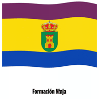 Castilla Y Leon Bandera GIF by Formación Ninja