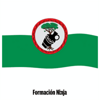 Castilla Y Leon Flag GIF by Formación Ninja