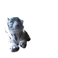 Jonday Sticker by TheMidnightCats