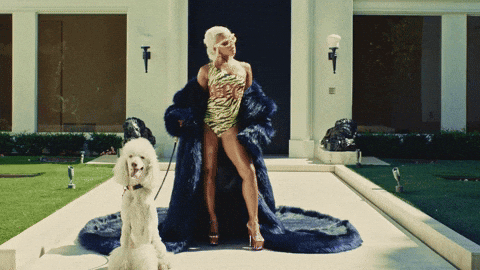 Dog Diamonds GIF by Saweetie