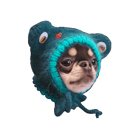 Dog Sticker