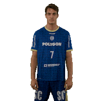 Handball Koester Sticker by DAIKIN HBL