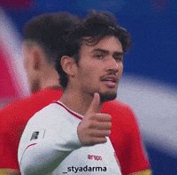 Nathan GIF