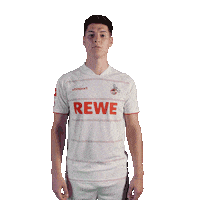 1 Fc Cologne Soccer Sticker by 1. FC Köln
