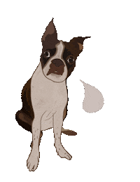 Boston Terrier Dog Sticker by btwsam