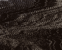 tales from the crypt GIF