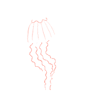 Sea Swimming Sticker