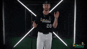 Tulane Rollwave GIF by GreenWave