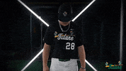 Tulane Rollwave GIF by GreenWave