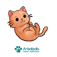 Cat Pets Sticker by arboledavet