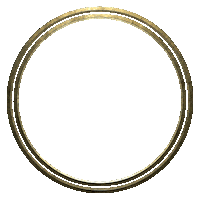 amare alpedhuez Sticker by Tomorrowland