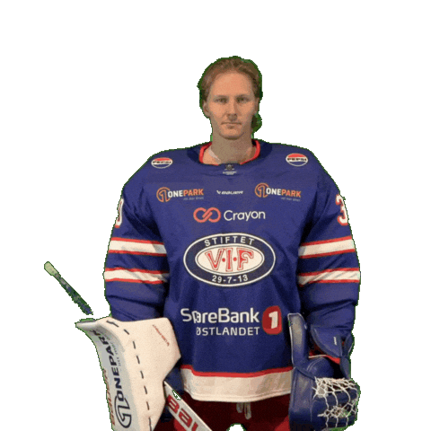 Keeper Joona Sticker by VIF Hockey