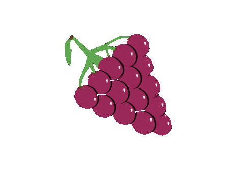 Grape Vine Fruit Sticker
