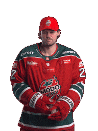 Ice Hockey Hockeyallsvenskan Sticker by MoDo Hockey