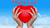 Thank U GIF by echilibrultau