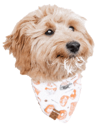 Puppy Licking Sticker