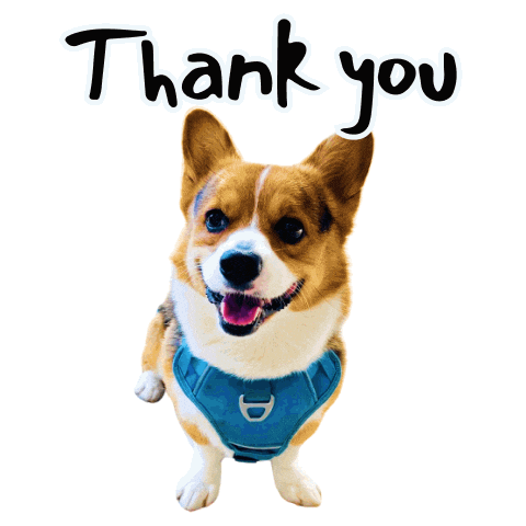 Thanks Corgi Sticker