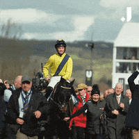 Happy Horse Racing GIF by The Jockey Club