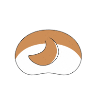 犬 柴犬 Sticker