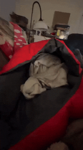 ThisRoxx camping pookie sleeping bag GIF