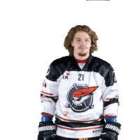 Hokej Tomas Sticker by Piráti Chomutov