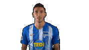 Hertha Berlin Sport Sticker by Hertha BSC