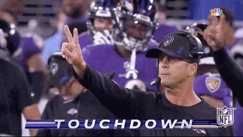 Baltimore Ravens Football GIF by NFL